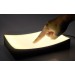 Anti Cellphone Radiation Led Touch Sensor Table Lamp Light 