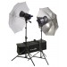 Interfit INT157 Stellar 750 X Tungsten Twin Umbrella Kit With Two Heads