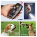 Dog Training System