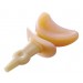 Orange Voice Training Speaking Speech Tool